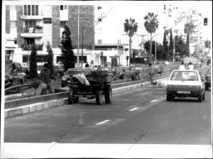 Obras en la avenida de Ricardo Soriano, en Marbella (Málaga)