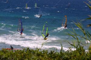 Un grupo de personas practicando Windsurf en Tarifa