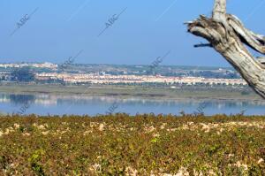 Foto Juan Carlos Solerl Juan Carlos Soler