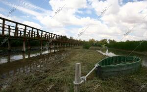 situación de Sequia en el parque nacional de las Tablas de Daimiel en la...