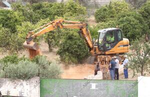 Continua la Busqueda en la finca de las Quemadillas de la familia Breton con un...