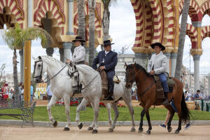 Cordoba. 27-05-14. Miercoles de Feria