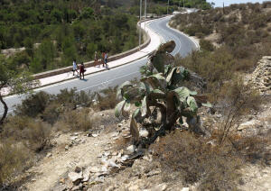 Sequía en el Castillo Santa Bárbara archdc