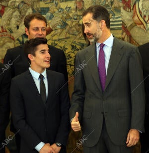 S.A.R el Rey Felipe VI recibe en audiencia en el palacio de la zarzuela a los...