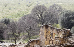 Yacimiento de arqueológico de Medina Azahara