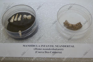 Yacimientos arqueológicos de Pinilla del Valle