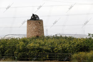 Cartagena (Murcia), 22/03/2016. Campos de Cultivo