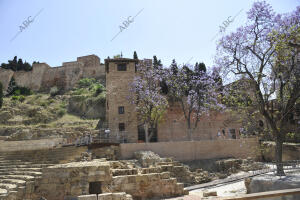 Imagen de la Alcazaba