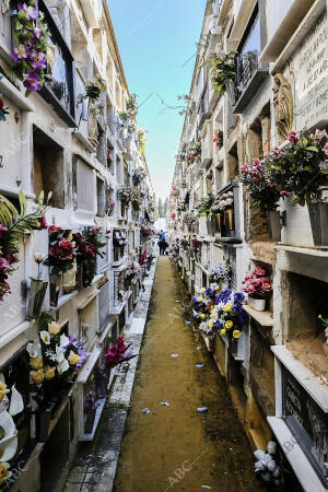 Reportaje del cementerio con motivo del Dia de los Difuntos