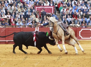Seis toros de Fermín Bohórquez