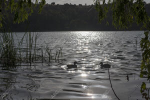 Lagunas de Ruidera