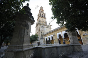 el patio de los Naranjos de la mezquita Catedral