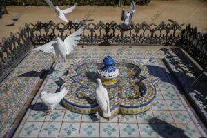 En la imagen, una fuente del parque de las Palomas en la Plaza de América