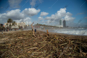 Estado como ha quedado la playa de la Barceloneta después del temporal Gloria