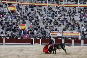 Festival de toros en el Día de la Comunidad de Madrid