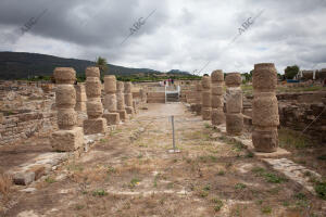 Reportaje en Baelo Claudia (Bolonia, Cádiz)