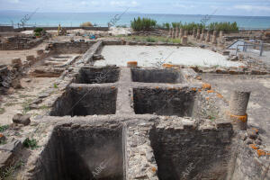 Reportaje en Baelo Claudia (Bolonia, Cádiz)