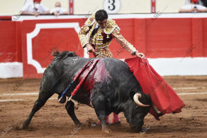 Miguel Ángel Perera toreando en la plaza de Cuatro Caminos, donde cosechó un...