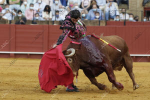 Corrida de toros de la Feria de San Miguel, celebrada en La Maestranza, para los...