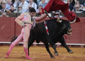 Toros de Hermanos García Jiménez