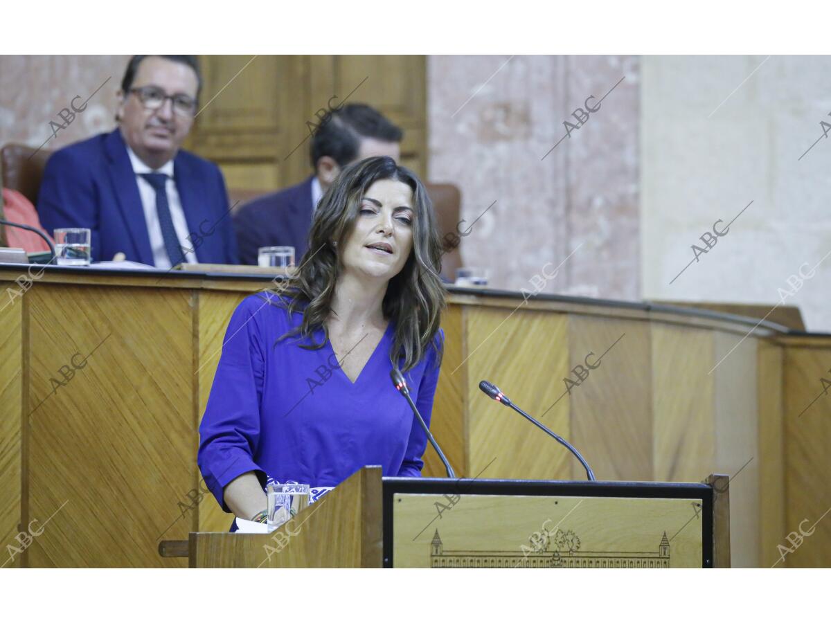 Segundo día del debate de investidura de Junam Moreno como presidente ...