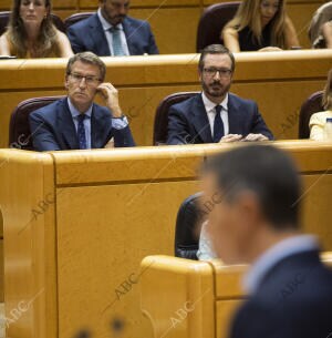 Cara a cara en el Senado entre el presidente del Gobierno Pedro Sánchez y el...