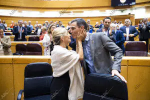 Cara a cara en el Senado del presidente del Gobierno, Pedro Sánchez y el líder...
