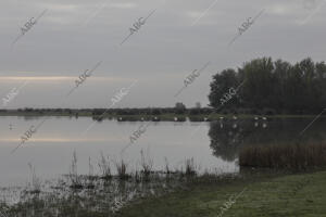 Visita al Parque de Doñana del presidente de la Junta de Andalucía, Juanma...