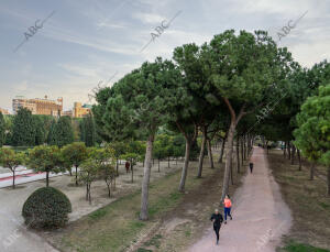 Jardín del Turia