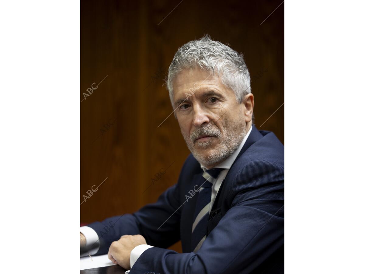 el-ministro-fernando-grande-marlaska-comparece-en-la-comisi-n-del