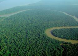 Vista aérea del río Amazonas