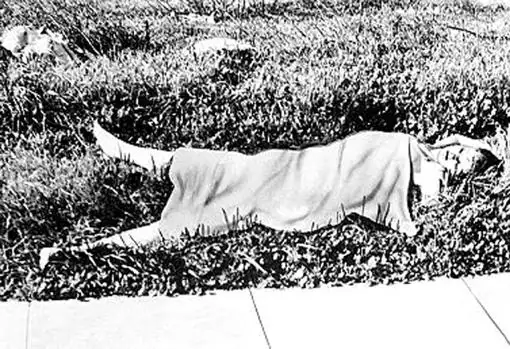 La «Dalia Negra», el macabro asesinato de los años 40 que nunca se resolvió