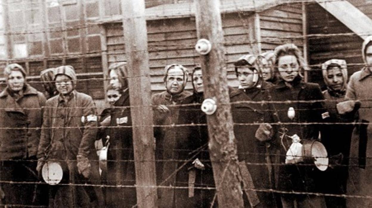 Fotografías de algunas mujeres deportadas a Ravensbrück. La mujer que aparece de perfil en una posición central de la fila de abajo, es Mercedes Núñez Targa - Asociación Amical de Ravensbrück