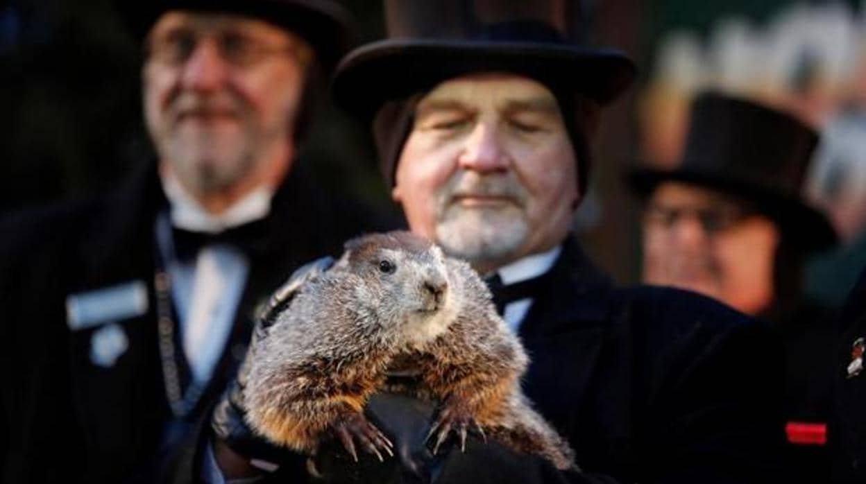 La marmota Phil sale de su madriguera para predecir el tiempo
