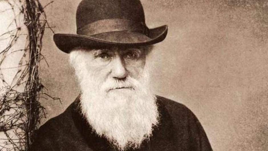 La obsesión que Darwin desarrolló por la evolución de las plantas con flores y que contradecía sus teorías