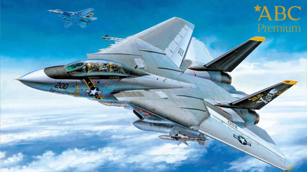 ¿Quieres conseguir esta maqueta única del F-14A Tomcat?