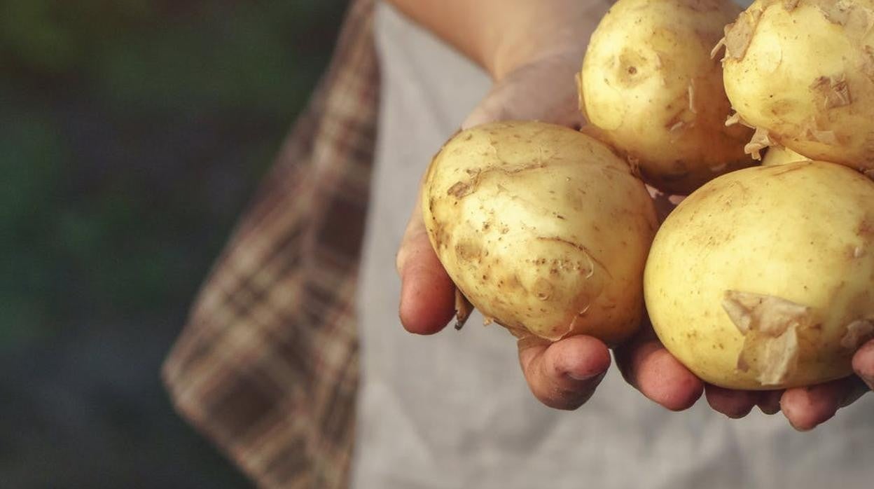 Borja Cardelús: Los alimentos que salvaron a Europa