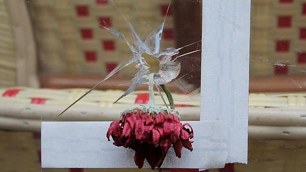 Una rosa asoma en el cristal de la terraza de Compotoir Voltaire, atravesada por las balas