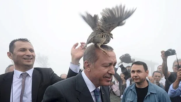Un ave se posa sobre la cabeza de Erdogan, el presidente turco, durante la visita que hizo este jueves a unas instalaciones medioambientales