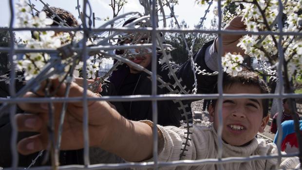 Un niño coloca flores en la valla mientras espera en la parte griega poder cruzar a Macedonia, cerca de la localidad macedonia de Gevgelija