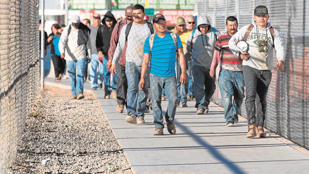 Temporeros regresan a México desde el puesto fronterizo de San Luis, en Arizona