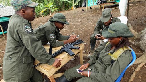 Guerrilleros de las FARC se distraen con sus móviles en el campamento provisional de la vereda La Variante, en Tumaco (Nariño).