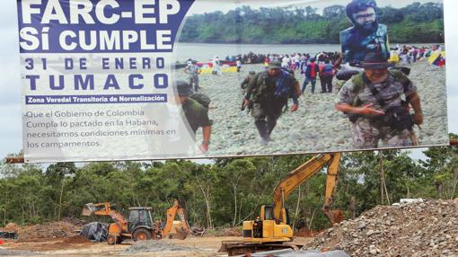 Trabajos para adecuar un campamento de las FARC en la zona veredal de La Playa, en Tumaco (Nariño)