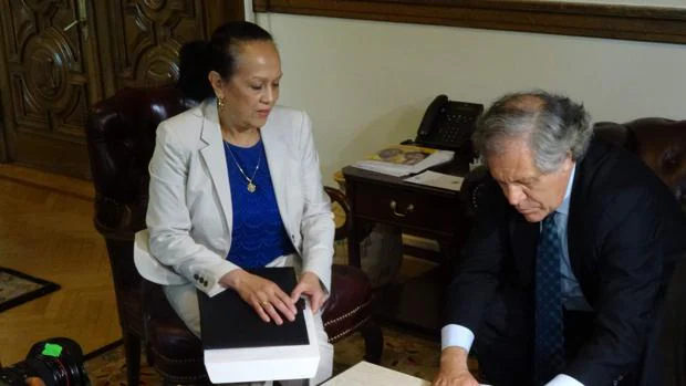La representante de Venezuela en la OEA firma la carta que pone en marcha el abandono de la organización