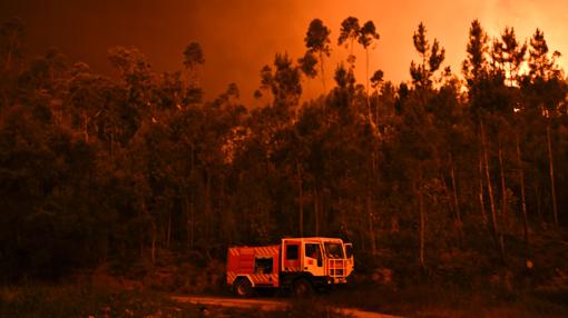 Servicios de bomberos hacen frente al incendio