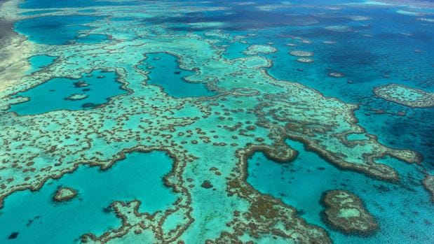La Gran Barrera de Coral australiana ya tiene precio