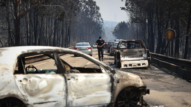 Investigaciones independientes elevan la cifra oficial de víctimas en los incendios del pasado junio