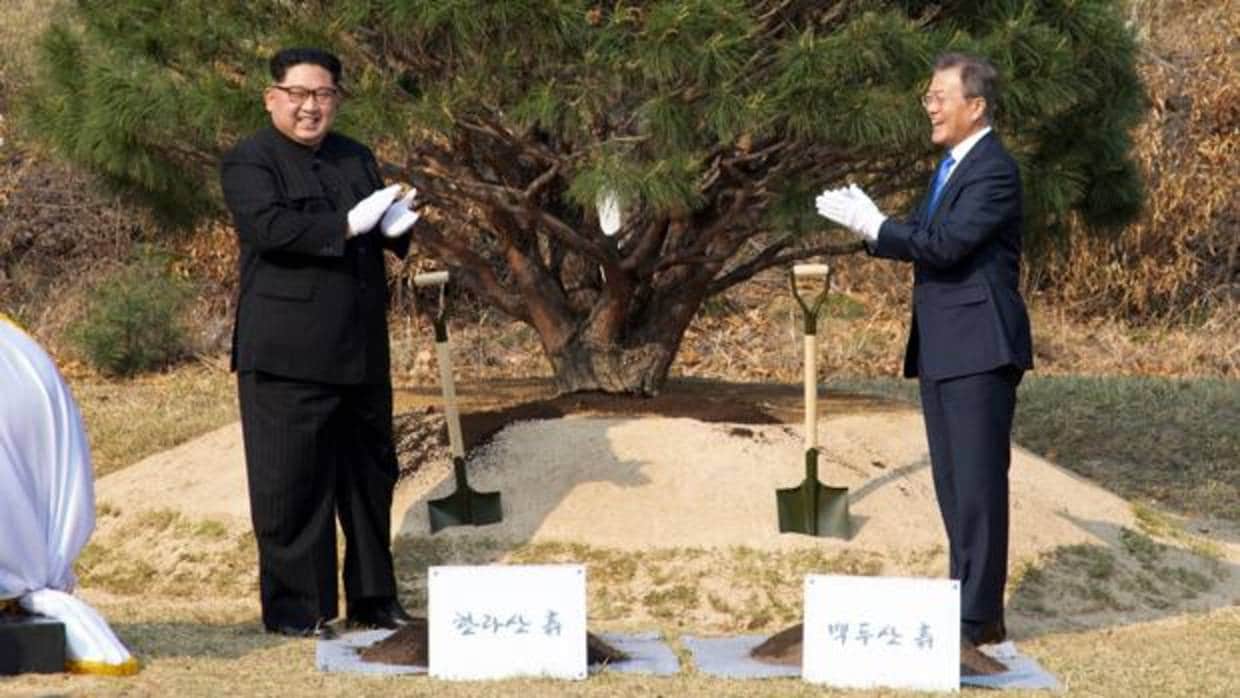 El líder norcoreano Kim Jong-un (i) y el presidente surcoreano, Moon Jae-in (d) plantan un árbol junto a una piedra en la que se puede leer «plantamos paz y prosperidad»
