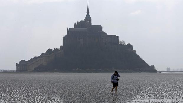 Uno de los monumentos más importantes de Francia, «invadido» por gatos callejeros