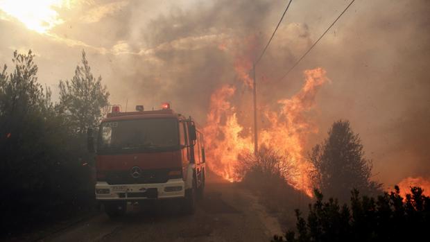 Al menos 50 muertos y más de 150 heridos por los incendios en Grecia